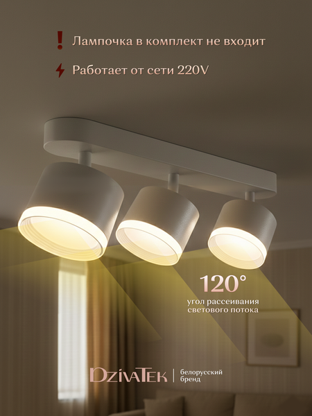 Изображение товара Спот DzivaTek 61041