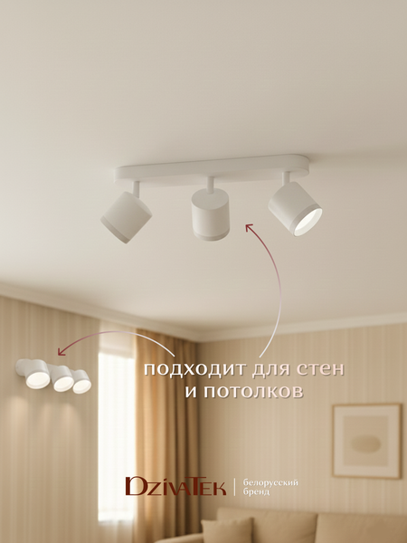 Изображение товара Спот DzivaTek 61041