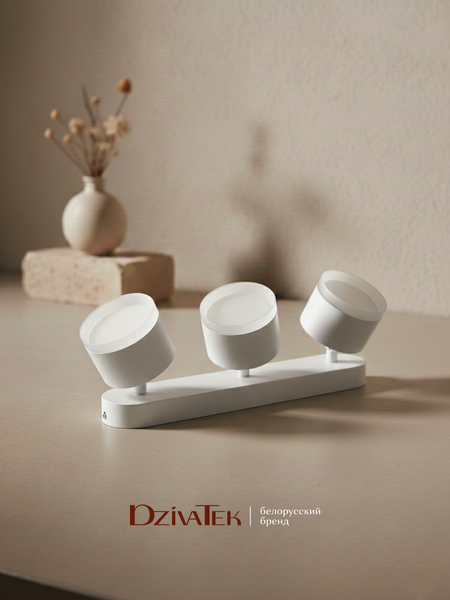 Изображение товара Спот DzivaTek 61041