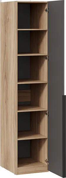 Изображение товара Шкаф-пенал ТриЯ Порто СМ-393.07.001 с 1 глухой дверью (яблоня беллуно/графит софт)