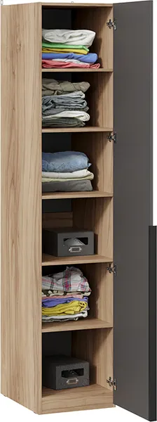 Изображение товара Шкаф-пенал ТриЯ Порто СМ-393.07.001 с 1 глухой дверью (яблоня беллуно/графит софт)