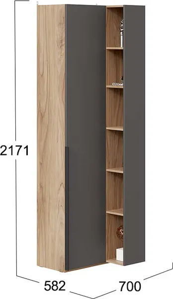 Изображение товара Шкаф ТриЯ Порто СМ-393.21.024 угловой с глухой дверью (яблоня беллуно/графит софт)