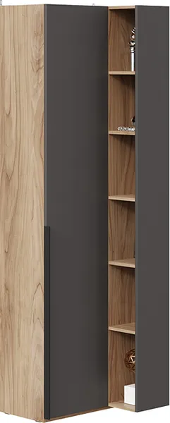 Изображение товара Шкаф ТриЯ Порто СМ-393.21.024 угловой с глухой дверью (яблоня беллуно/графит софт)