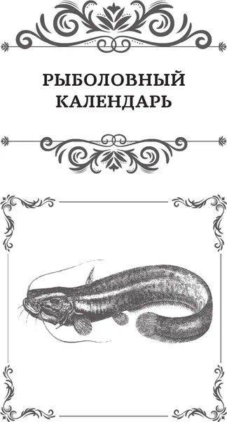 Изображение товара Энциклопедия АСТ Все о рыбалке. Подарочное издание (Сабанеев Л. 9785171645939)