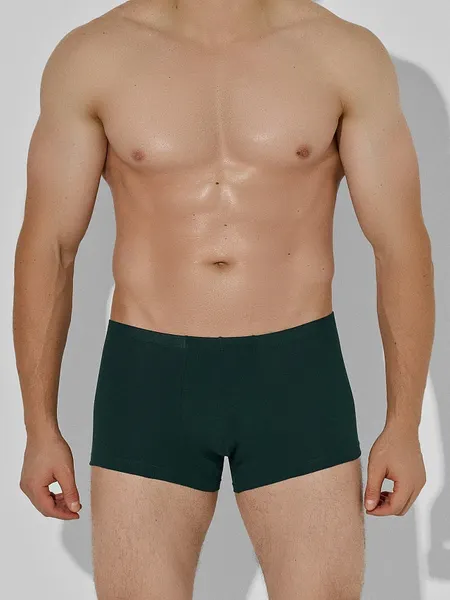 Изображение товара Комплект мужских трусов Mark Formelle 411122-2 (р.86-96, агава/зеленый бархат)