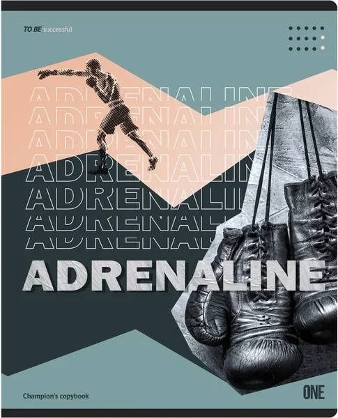 Изображение товара Тетрадь BG Adrenalin Т5ск96_лс 11950