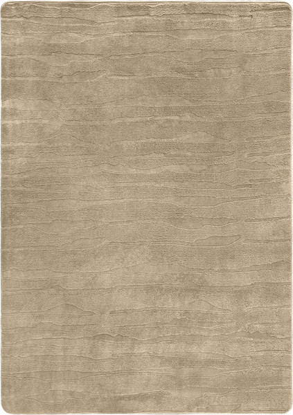Изображение товара Покрытие напольное тафтинговое Champion Carpet 1.2x1.7 (Barni Wall-Taupe)