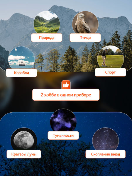 Изображение товара Бинокль Levenhuk Bruno Base 20x80 со штативом / 86641