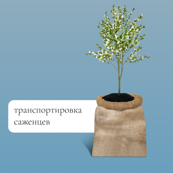Изображение товара Мешок садовый GREENGO 74x100см без завязок / 9143390