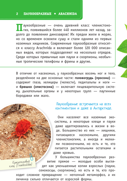 Изображение товара Энциклопедия АСТ Пауки, скорпионы и многоножки России (Гомыранов Илья)