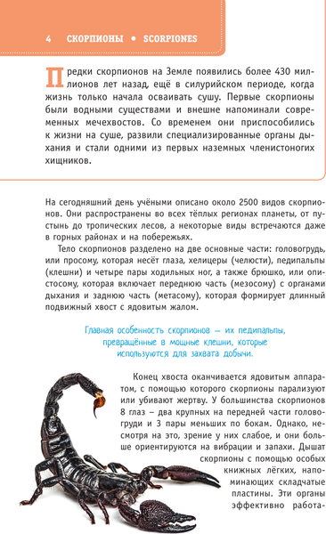 Изображение товара Энциклопедия АСТ Пауки, скорпионы и многоножки России (Гомыранов Илья)