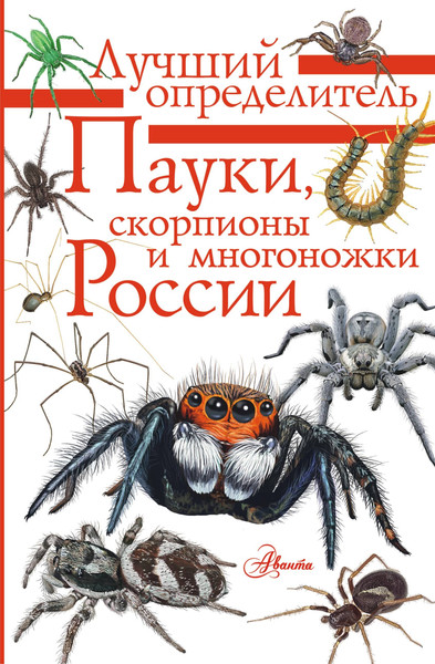 Изображение товара Энциклопедия АСТ Пауки, скорпионы и многоножки России (Гомыранов Илья)