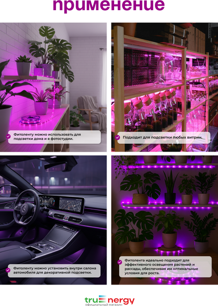 Изображение товара Светодиодная лента Truenergy 16800