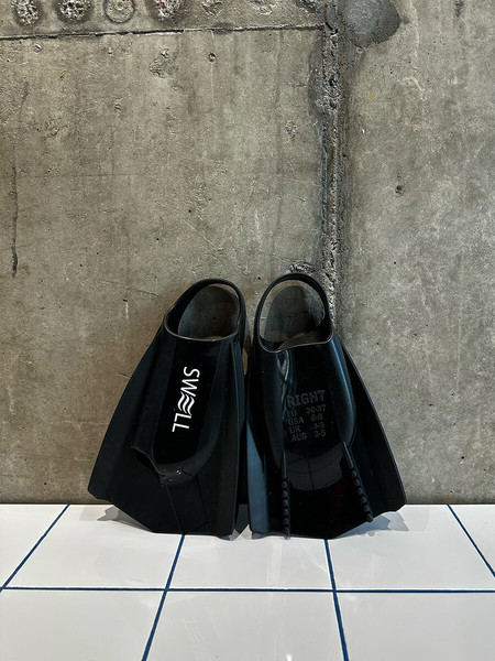 Изображение товара Ласты SWELL Pro Fins / 0023 SWLPF (р.44-45)