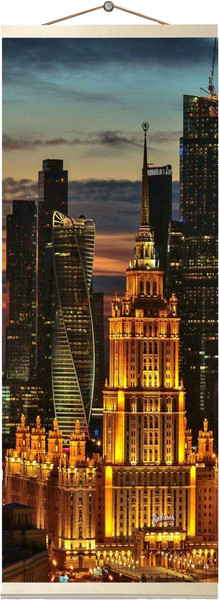 Картина по номерам Молли Москва-Сити / HRP0026 — фото 5
