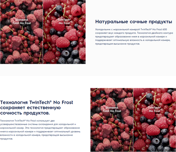 Изображение товара Холодильник с морозильником Electrolux E6MNTE19S