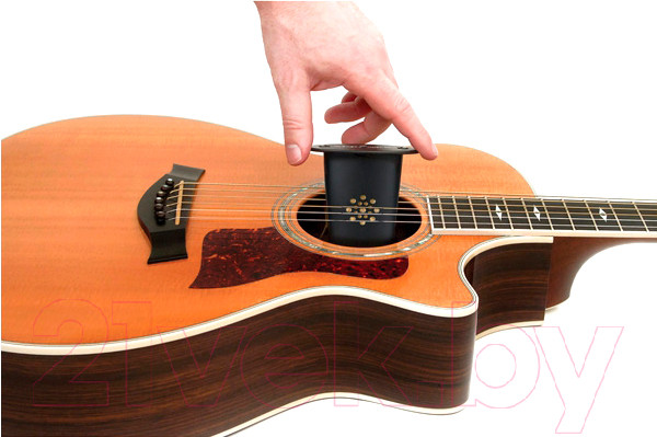 Изображение товара Средство для ухода за гитарой Planet Waves Увлажнитель PW-GH