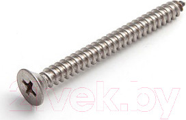 Изображение товара Шуруп ЕКТ С потайной головкой CHT 4.2x19 DIN7982 / B008227 (100шт, нержавеющая сталь)