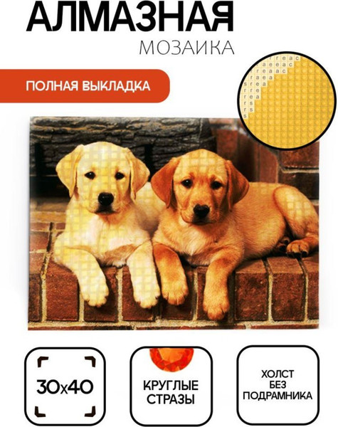 Набор алмазной вышивки ILikeGift Два лабрадора / ОО114818 — фото 6
