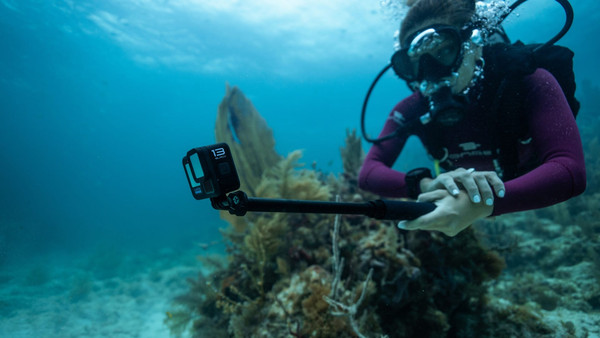 Изображение товара Экшн-камера GoPro Hero 13 1xCMOS 27.6Mpix / CHDHX-131-RW (черный)