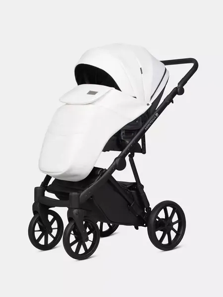 Изображение товара Детская универсальная коляска Riko Montana X Ecco 2 В 1 Basic (11 белый)