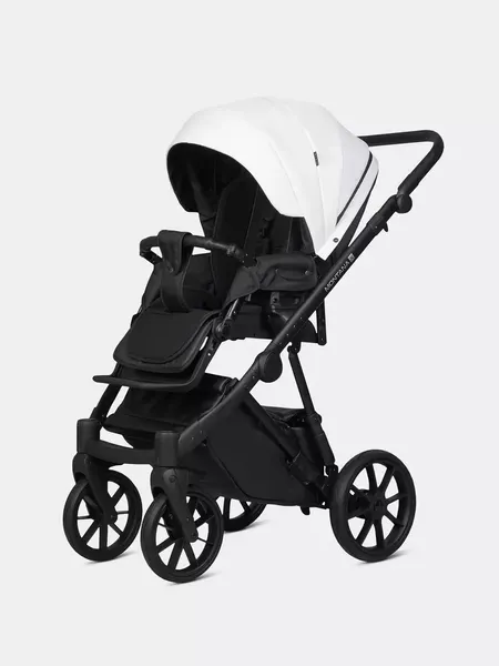 Изображение товара Детская универсальная коляска Riko Montana X Ecco 2 В 1 Basic (11 белый)