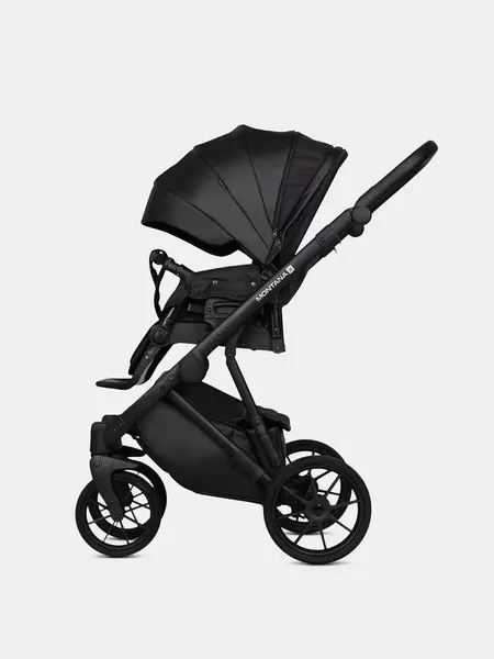 Изображение товара Детская универсальная коляска Riko Montana X Ecco 2 В 1 Basic (12 черный)