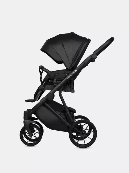 Изображение товара Детская универсальная коляска Riko Montana X Ecco 2 В 1 Basic (12 черный)
