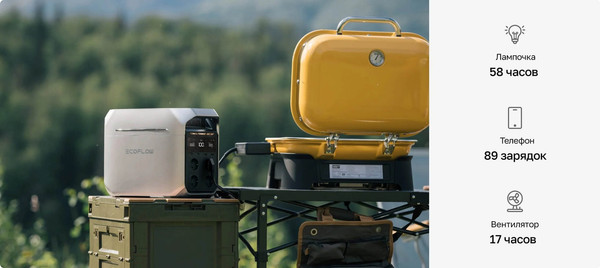 Изображение товара Портативная зарядная станция EcoFlow Delta 3 Plus