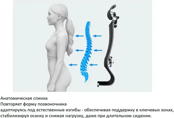 Изображение товара Кресло офисное Metta ErgoLife Comfort (черный)