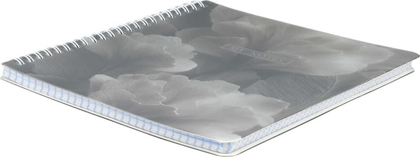 Изображение товара Тетрадь Феникс+ Лепестки / 73365