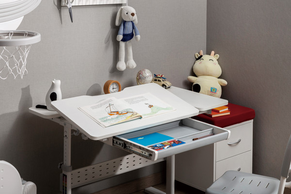 Изображение товара Парта Растущая мебель Smart 100 Plus стол E603, полка Wooden Space mini, накладка E511