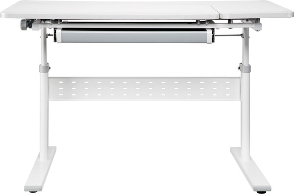 Изображение товара Парта Растущая мебель Smart 100 Plus стол E603, полка Wooden Space mini, накладка E511