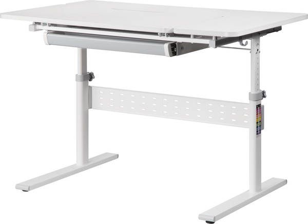 Изображение товара Парта Растущая мебель Smart 100 Plus стол E603, полка Wooden Space mini, накладка E511