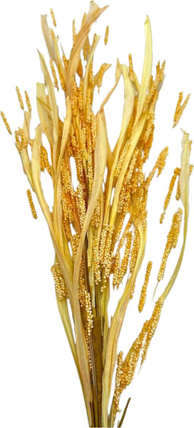 Изображение товара Искусственный цветок MONAMI TM-104