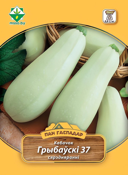 Изображение товара Семена МинскСортСемОвощ Кабачок Грибовский 37 (8г)