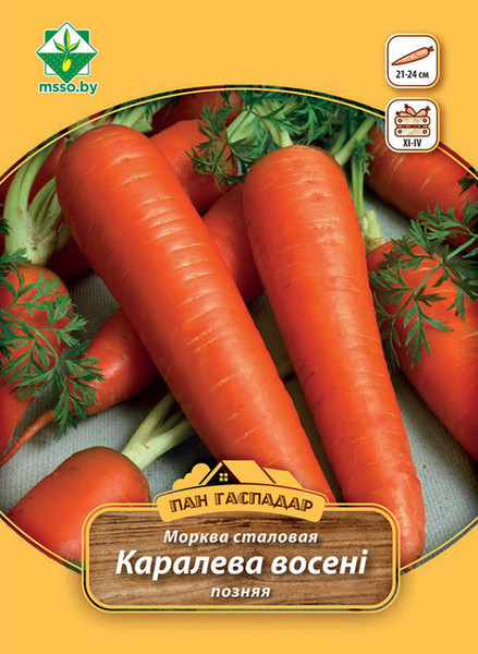 Изображение товара Семена МинскСортСемОвощ Морковь Королева осени столовая (7г)
