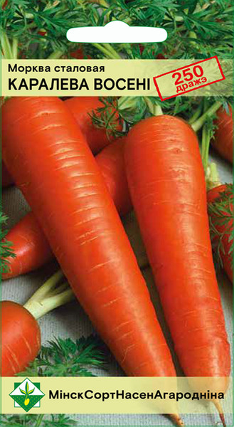 Изображение товара Семена МинскСортСемОвощ Морковь Королева осени столовая драже (250шт)