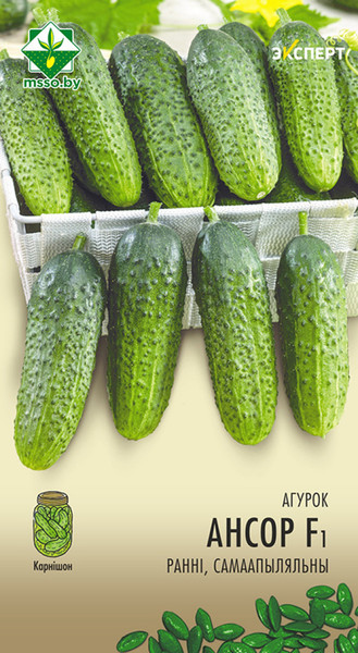 Изображение товара Семена МинскСортСемОвощ Огурец Ансор F1 (10шт)