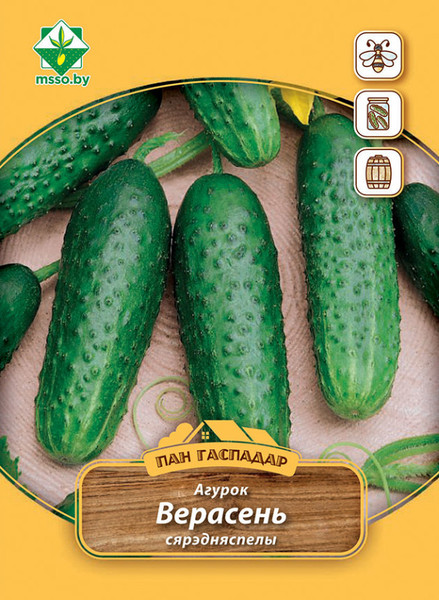 Изображение товара Семена МинскСортСемОвощ Огурец Верасень (3г)