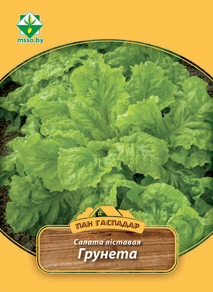 Изображение товара Семена МинскСортСемОвощ Салат Грюнетта листовой (4г)