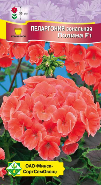 Изображение товара Семена цветов МинскСортСемОвощ Пеларгония зональная Полина F1 (4шт)