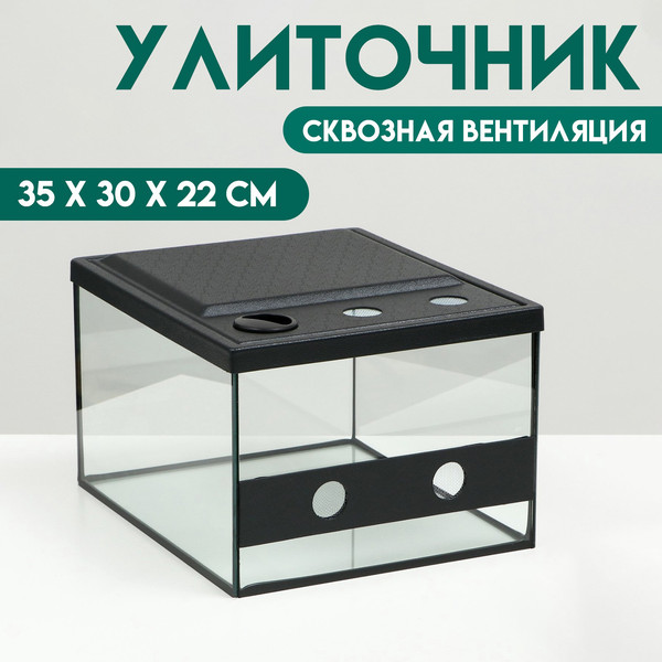 Изображение товара Террариум Sima-Land 9177567