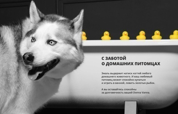 Изображение товара Ванна стальная ВИЗ Donna Vаnnа 160х70 / DV-65901 (белая орхидея, с опорной nодставкой без ранта)