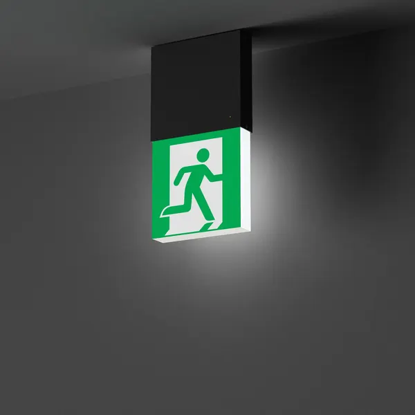 Изображение товара Светильник аварийный Arlight EMG-MARK-M-3H-BK / 057966