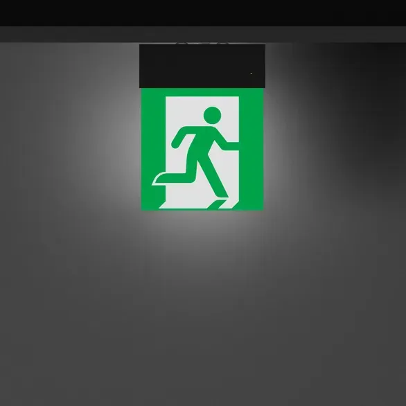 Изображение товара Светильник аварийный Arlight EMG-MARK-S-3H-BK / 059801