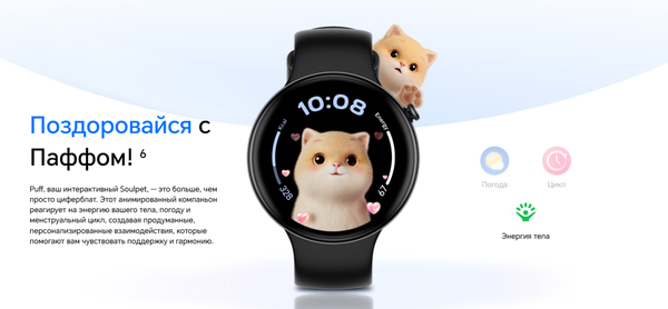 Изображение товара Умные часы Honor Watch Fit Active IVY-B19 / 5502ABWQ (черный)