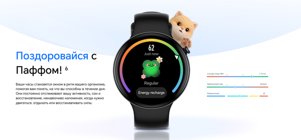 Изображение товара Умные часы Honor Watch Fit Active IVY-B19 / 5502ABWQ (черный)