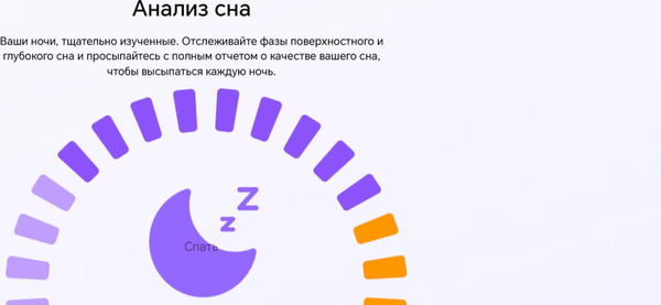 Изображение товара Умные часы Honor Watch Fit Active IVY-B19 / 5502ABWQ (черный)