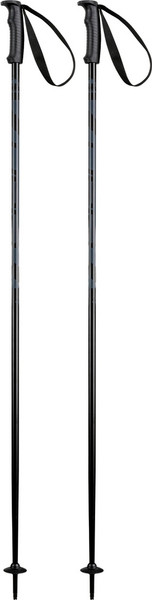 Изображение товара Горнолыжные палки Elan Hotrod 2025-2026 / CD633023-120 (р.120, черный)